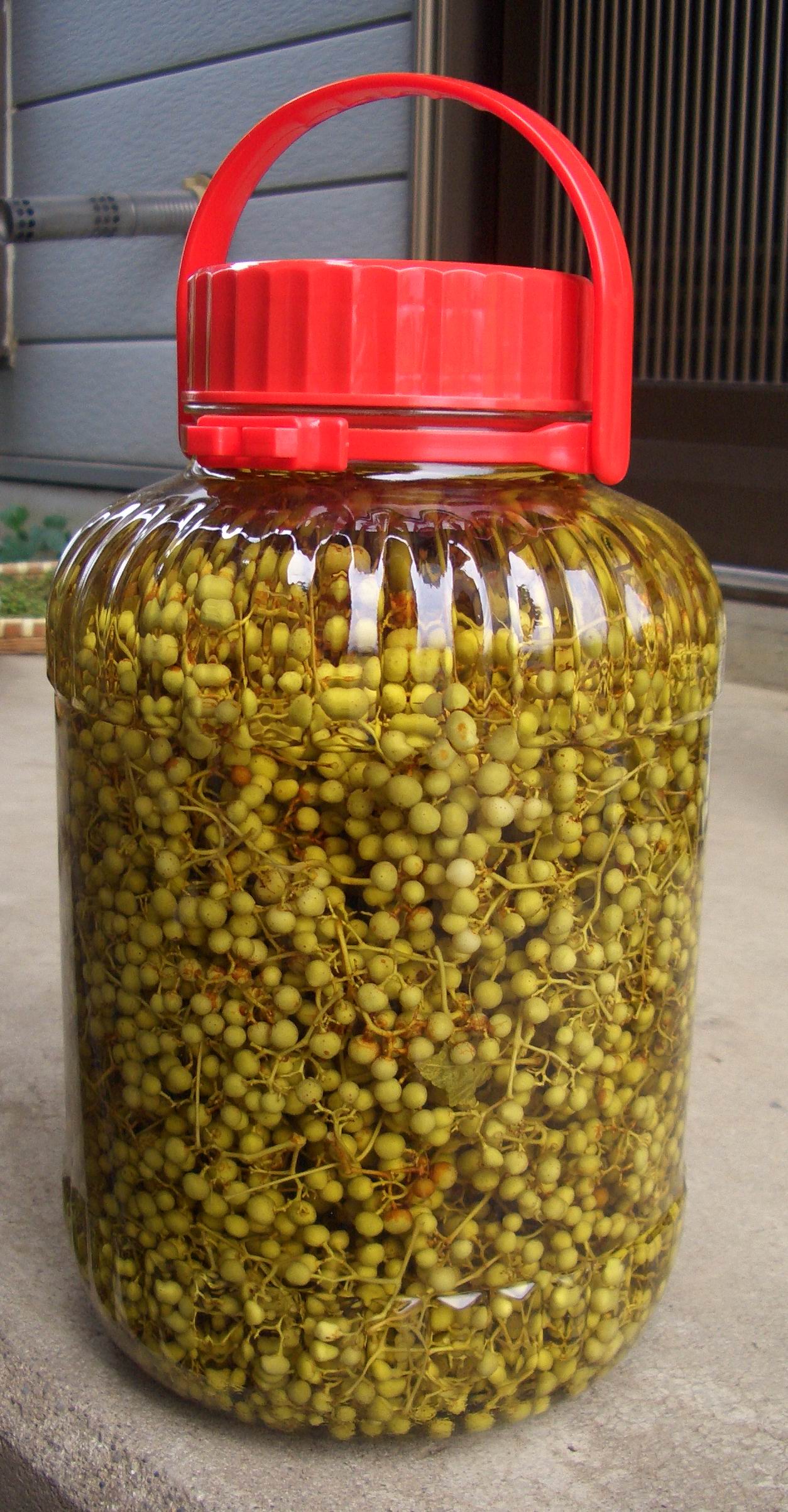 ウマブドウの焼酎漬けのつくり方: 薬草ウマブドウの効能と利用法・栽培法